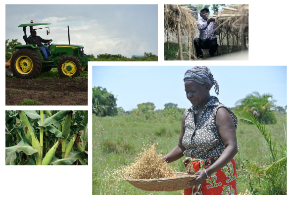 Planning. Execution. Delivery.